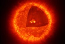 Telescópio James Webb revela possível estrela buraco negro