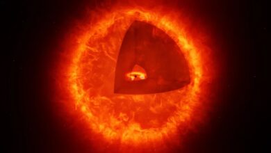 Telescópio James Webb revela possível estrela buraco negro