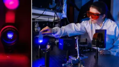Robô suave utiliza AI e luz para movimentos precisos