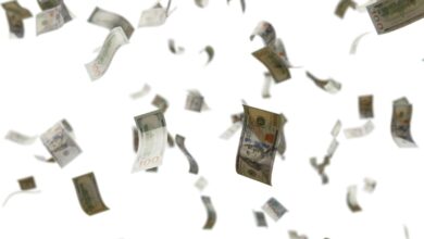 Modelos de machine learning podem salvar a economia de AI