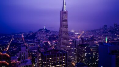 Investimento de $15 bilhões em AI avança machine learning na Califórnia