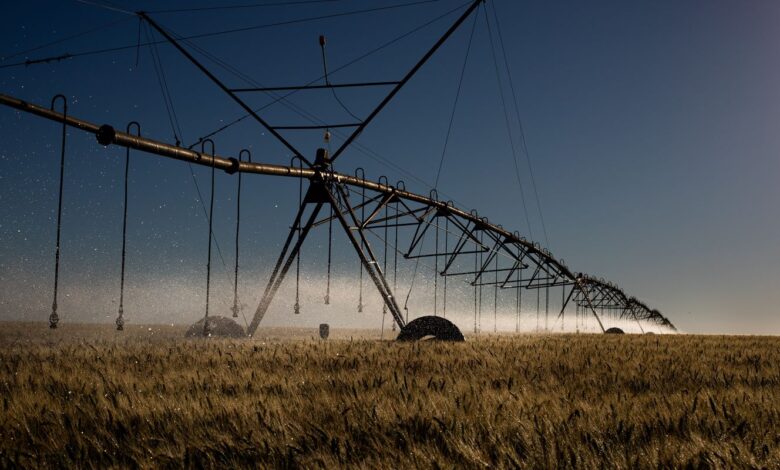 STF retoma julgamento sobre benefícios fiscais a agrotóxicos