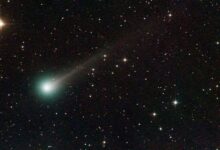 Descoberta em astronomia detecta cometa Lemmon visível