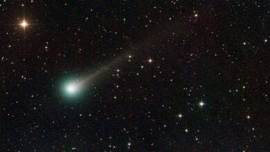 Descoberta em astronomia detecta cometa Lemmon visível