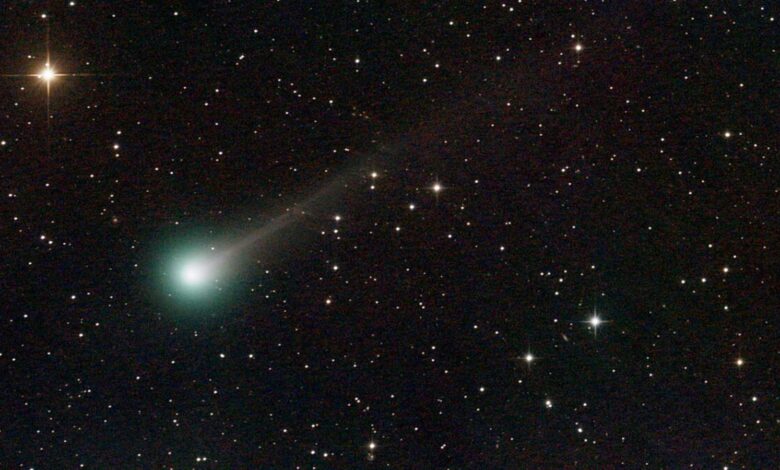 Descoberta em astronomia detecta cometa Lemmon visível