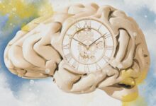 Estudo revela por que o tempo acelera com a idade