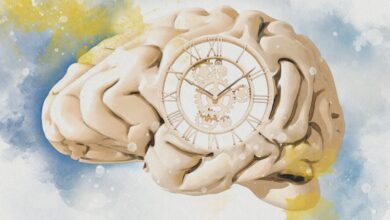 Estudo revela por que o tempo acelera com a idade