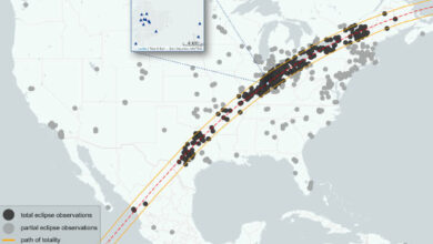 Circles indicate distinct SolarBird app observations submitted on April 8, 2024. Image credit: Aguilar et al., doi: 10.1126/science.adx3025.