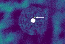 NIRC2 image of J1446 taken in August 2023; the white arrow indicates the location of the new companion J1446B. Image credit: Uyama et al., doi: 10.3847/1538-3881/ae08b6.