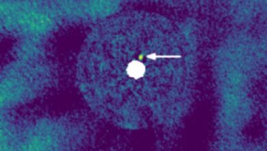 NIRC2 image of J1446 taken in August 2023; the white arrow indicates the location of the new companion J1446B. Image credit: Uyama et al., doi: 10.3847/1538-3881/ae08b6.