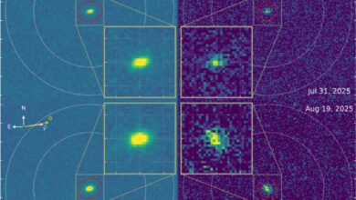 Stacked images of the interstellar comet 3I/ATLAS acquired with the Ultraviolet/Optical Telescope aboard NASA’s Neil Gehrels Swift Observatory: the first were obtained on July 31 and August 1, 2025 (visit 1, top half of figure) and the second on August 19, 2025 (visit 2, bottom half of figure). Image credit: Xing et al., doi: 10.3847/2041-8213/ae08ab.