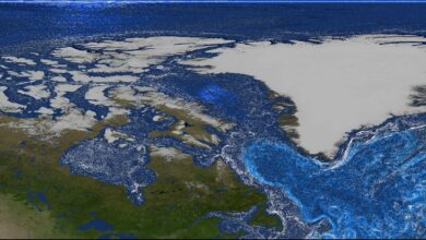 Pesquisa aponta mudança nas correntes do Atlântico Norte