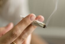 OBGYN destaca em estudo risco do uso de cannabis na gestação