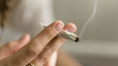 OBGYN destaca em estudo risco do uso de cannabis na gestação