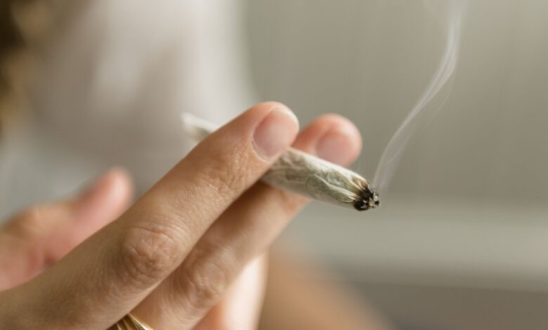 OBGYN destaca em estudo risco do uso de cannabis na gestação