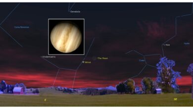 NASA observa lua e Vênus em órbita matinal em 19 de outubro