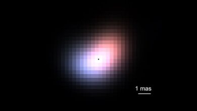 Astrônomos usam tecnologia e revelam estrela assimétrica