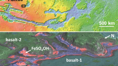Spectrally distinct units at the Juventae Plateau, Mars. Image credit: Bishop et al., doi: 10.1038/s41467-025-61801-2.