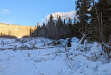 Pesquisa identifica tsunami de gelo devastador no Yukon em 2024