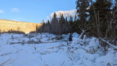 Pesquisa identifica tsunami de gelo devastador no Yukon em 2024