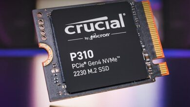 P310 SSD a preço baixo: upgrade ideal para Steam Deck