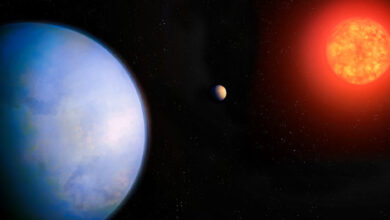 Super-Earth Candidate Found in Habitable Zone of Gliese 251