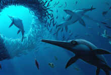 Fossil of Long and Narrow-Snouted Ichthyosaur Uncovered in England