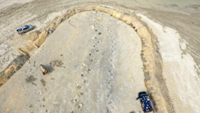 The 166-million-year-old sauropod dinosaur trackways at Dewars Farm Quarry in Oxfordshire, England. Image credit: University of Birmingham.