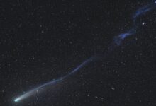 Astronomia revela Cometa Lemmon com cauda fragmentada