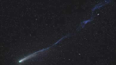 Astronomia revela Cometa Lemmon com cauda fragmentada