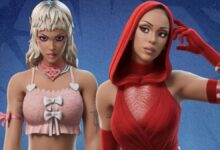 Doja Cat perde controle de conta no Fortnite após polêmica