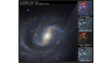 JWST detecta estrela supergigante antes da supernova