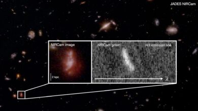 Telescópio James Webb revela caos em estudo do universo jovem