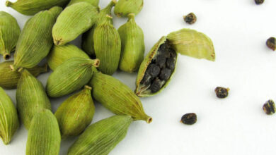 Cardamom (Elettaria cardamomum) seeds. Image credit: Karyna Panchenko.