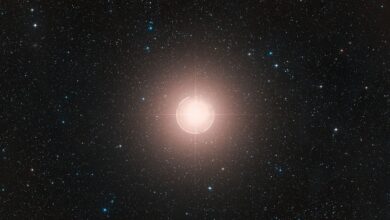 NASA descobre que Betelgeuse tem um pequeno companheiro