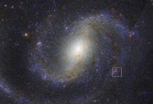 James Webb revela estrela rara em nova descoberta astronômica