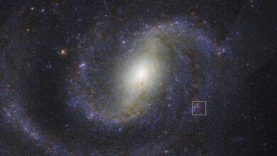 James Webb revela estrela rara em nova descoberta astronômica