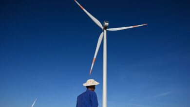 Investidores apostam R$ 21 bilhões em economia-verde sustentável