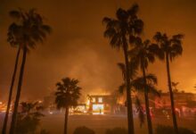 Tecnologia de som inaudível promete proteger florestas de incêndios