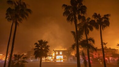 Tecnologia de som inaudível promete proteger florestas de incêndios