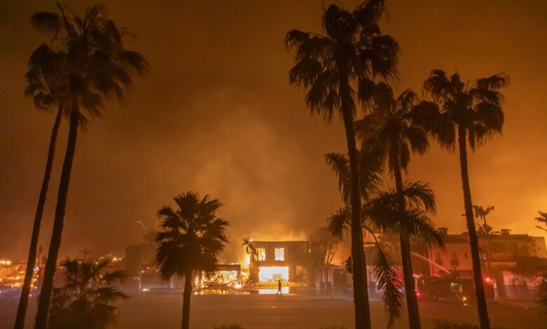 Tecnologia de som inaudível promete proteger florestas de incêndios