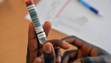 Cientistas revelam relatório sobre química tóxica e impacto na cultura