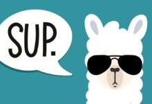 Meta Llama: tudo sobre o modelo de IA generativa B2B