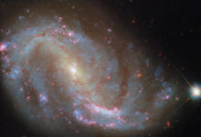 This Hubble image shows NGC 7496, a barred spiral galaxy some 24 million light-years away in the constellation of Grus. Image credit: NASA / ESA / Hubble / R. Chandar / J. Lee / PHANGS-HST Team.