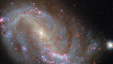 This Hubble image shows NGC 7496, a barred spiral galaxy some 24 million light-years away in the constellation of Grus. Image credit: NASA / ESA / Hubble / R. Chandar / J. Lee / PHANGS-HST Team.