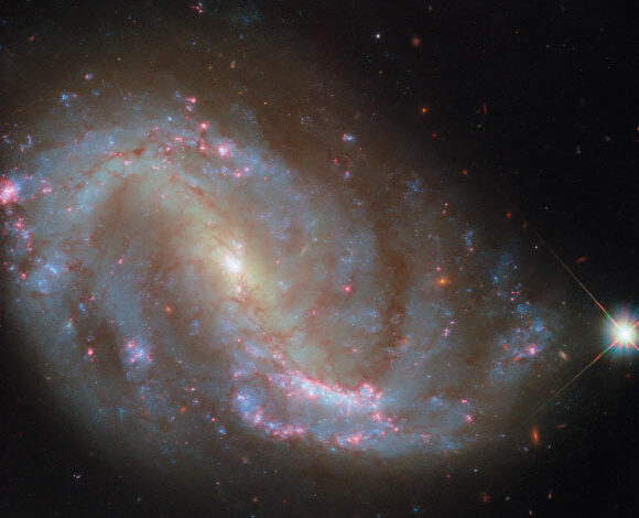 This Hubble image shows NGC 7496, a barred spiral galaxy some 24 million light-years away in the constellation of Grus. Image credit: NASA / ESA / Hubble / R. Chandar / J. Lee / PHANGS-HST Team.