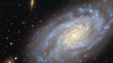 This Hubble image shows NGC 3370, a spiral galaxy some 90 million light-years away in the constellation of Leo. Image credit: NASA / ESA / Hubble / A. Riess / K. Noll.