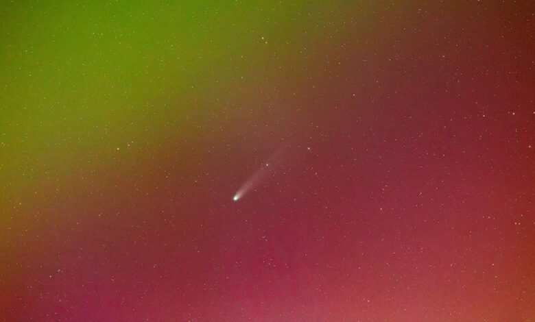 Astronomia observa Cometa Lemmon cruzando auroras na Escócia