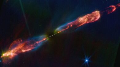 ALMA e JWST elucidam mistério da formação estelar