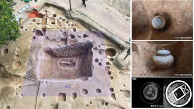 Arqueólogos revelam descoberta de freezer ancestral em castelo coreano